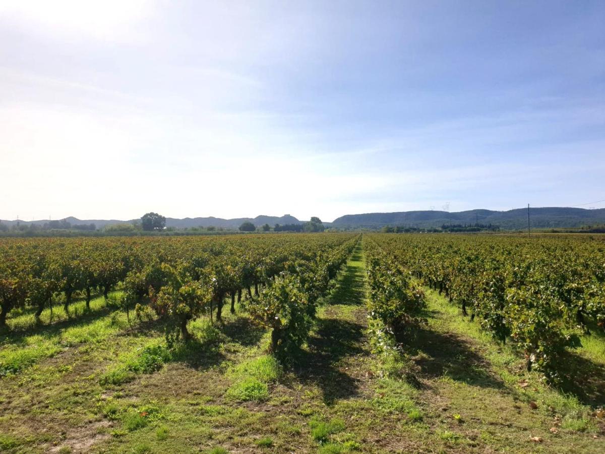 Domaine De Sevanes Saint-Paul-les-Fonts エクステリア 写真