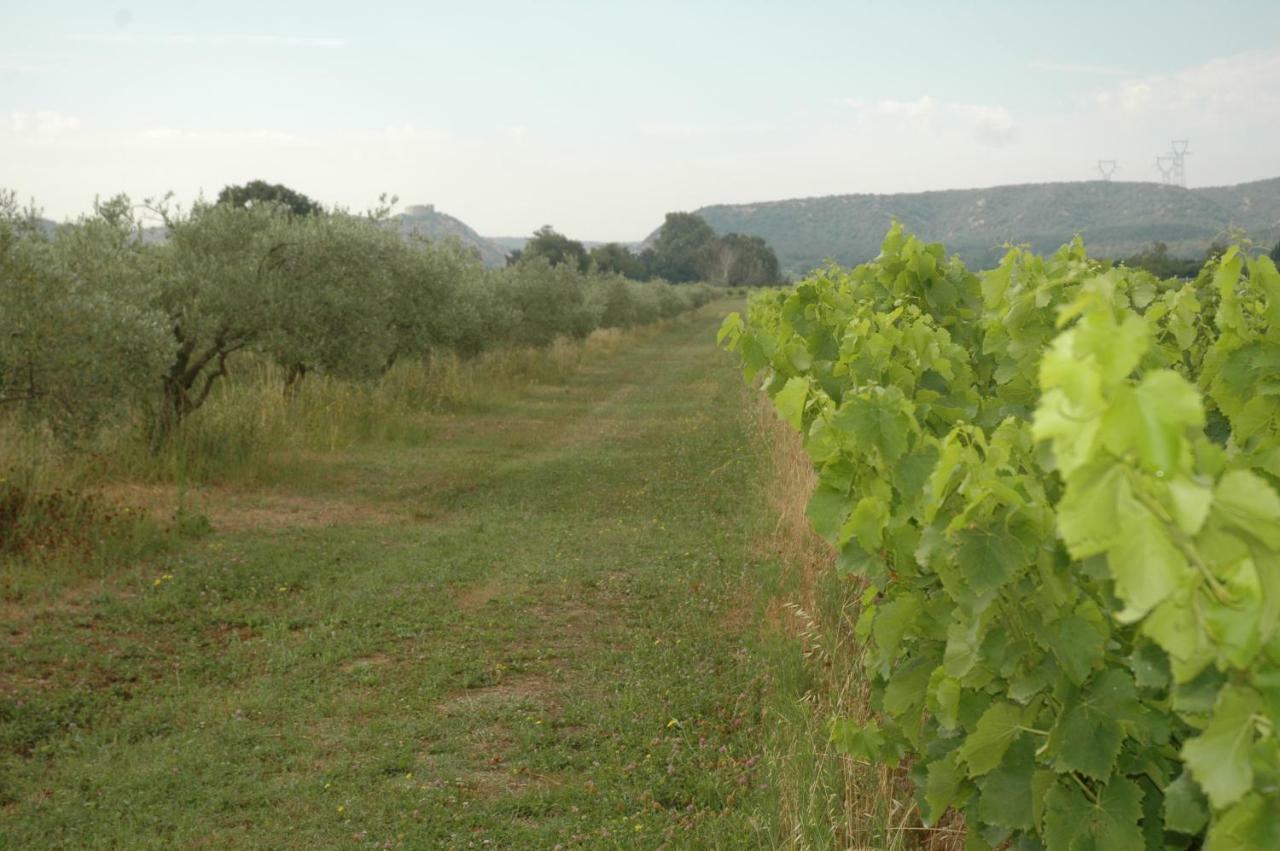 Domaine De Sevanes Saint-Paul-les-Fonts エクステリア 写真